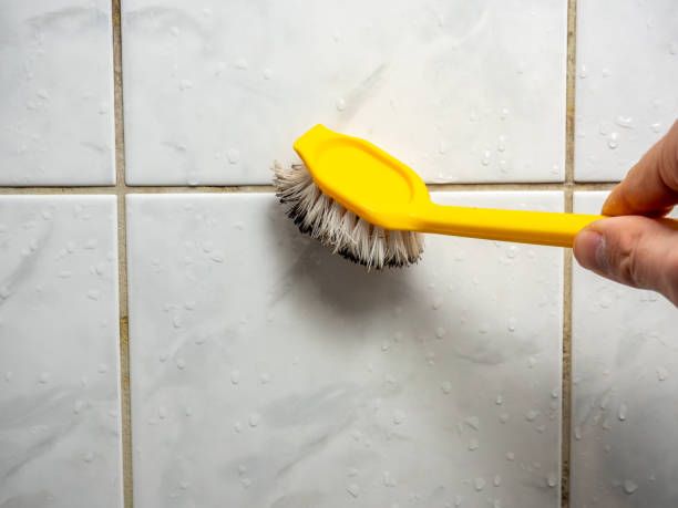 Best Certified Mold Removal  in Blakely, GA