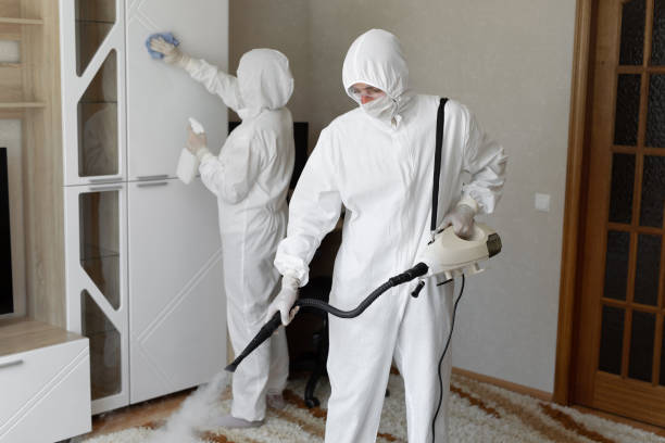 Best Mold Testing  in Blakely, GA