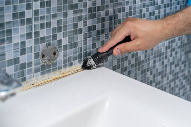 Best Best Mold Removal Companies  in Blakely, GA
