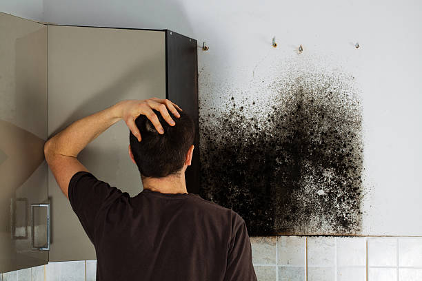 Best Office Mold Removal Services  in Blakely, GA